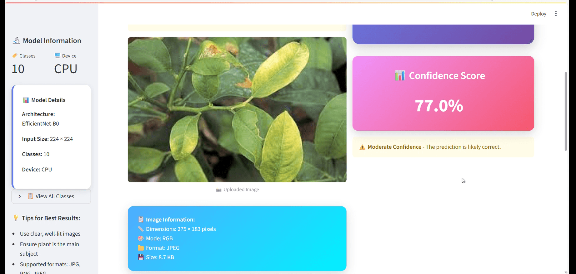 Plant Health App (IEEE Club)